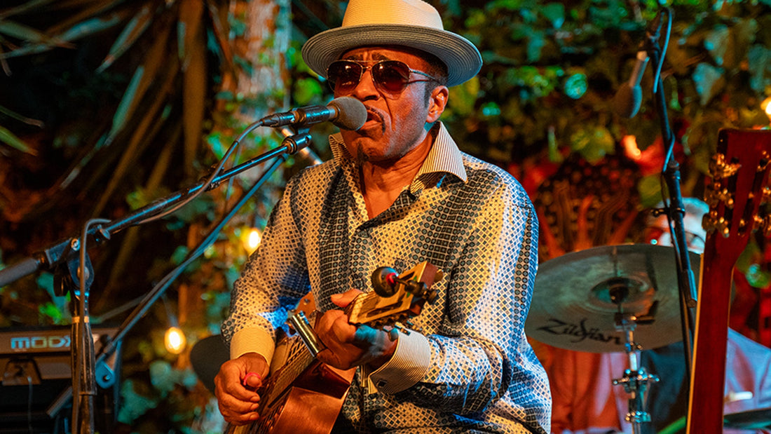 Purple Rain | Vasti Jackson & Friends | Mark's Park