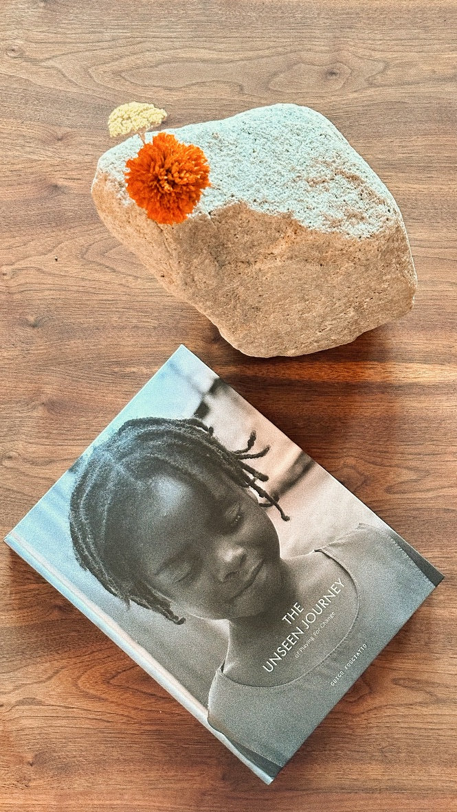 Livro The Unseen Journey